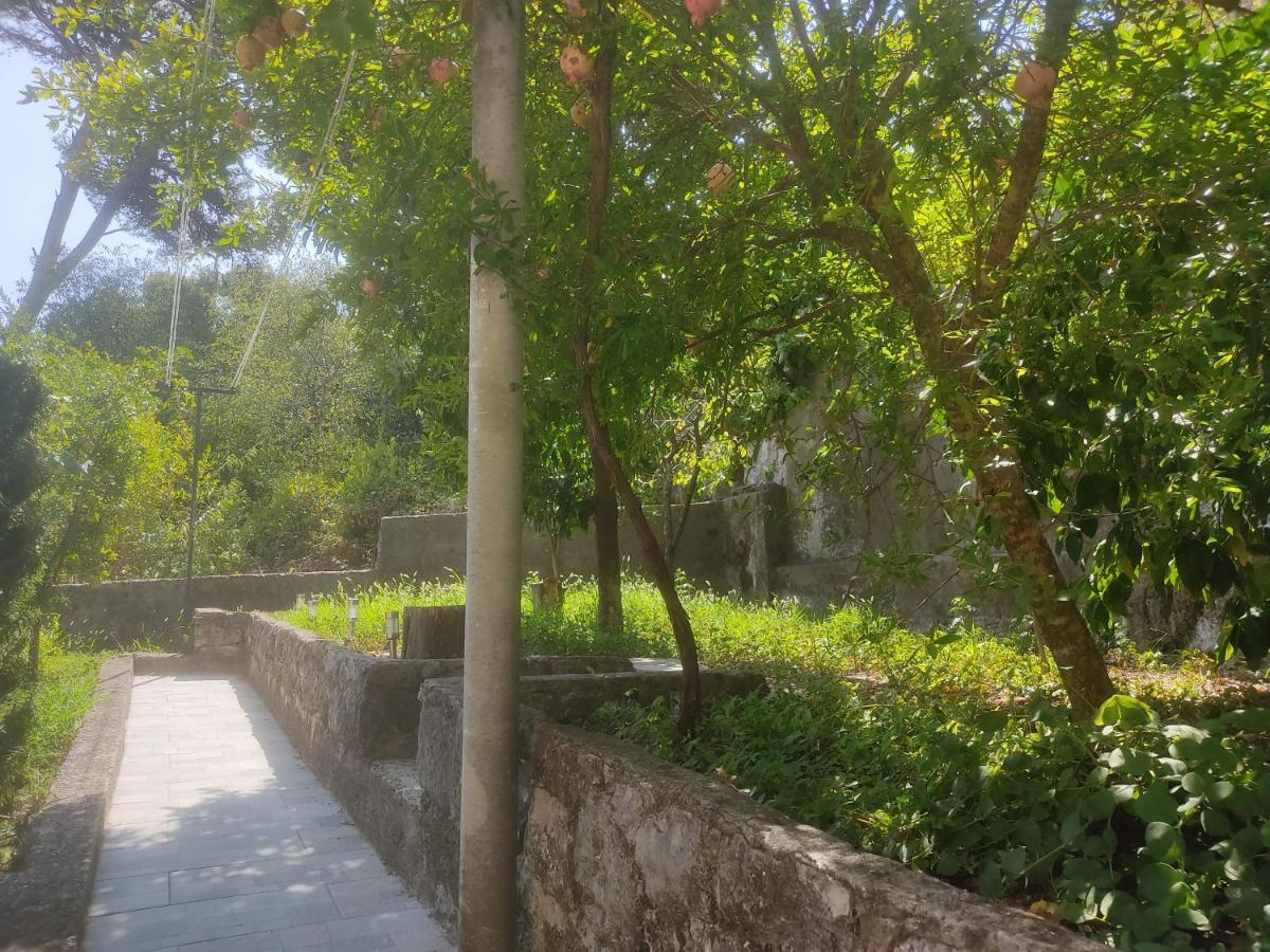 Arbanas Apartment Dubrovnik